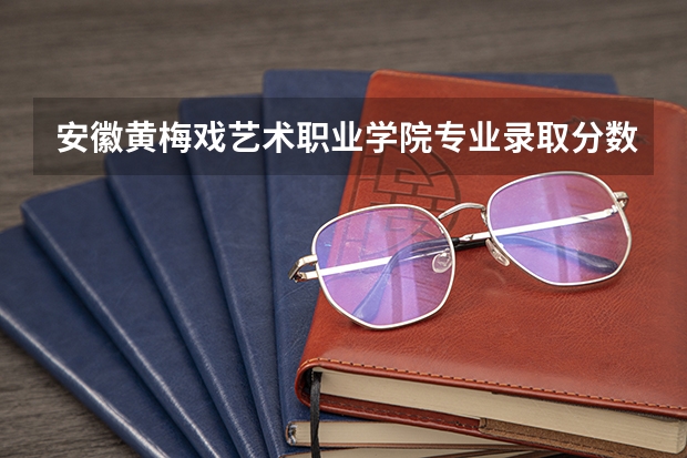 安徽黄梅戏艺术职业学院专业录取分数线介绍