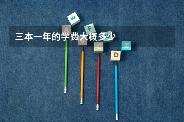 三本一年的学费大概多少
