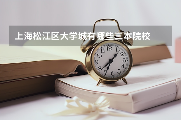 上海松江区大学城有哪些三本院校