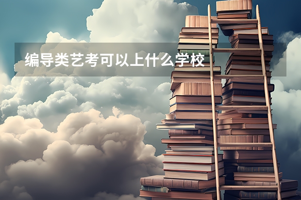 编导类艺考可以上什么学校