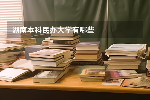 湖南本科民办大学有哪些