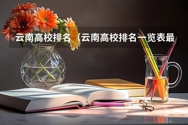 云南高校排名（云南高校排名一览表最新）