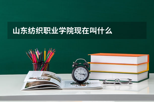 山东纺织职业学院现在叫什么