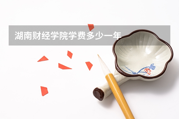 湖南财经学院学费多少一年