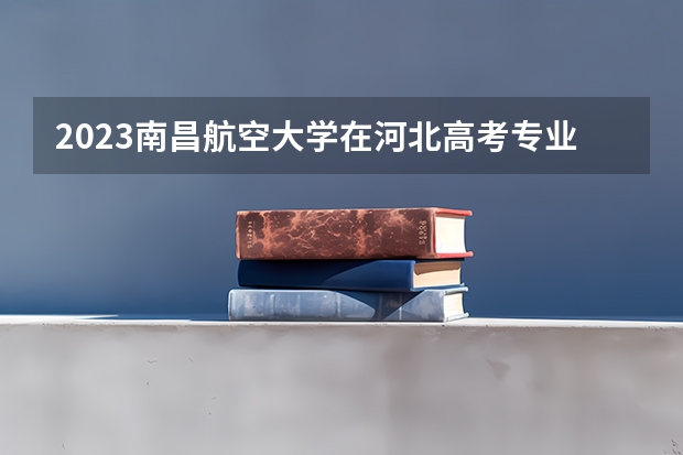 2023南昌航空大学在河北高考专业招生计划多少人(历年招生计划)